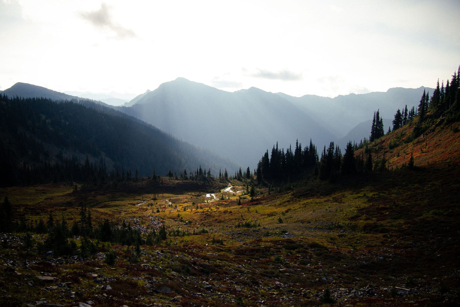 Forests and valleys and some nice morning light.